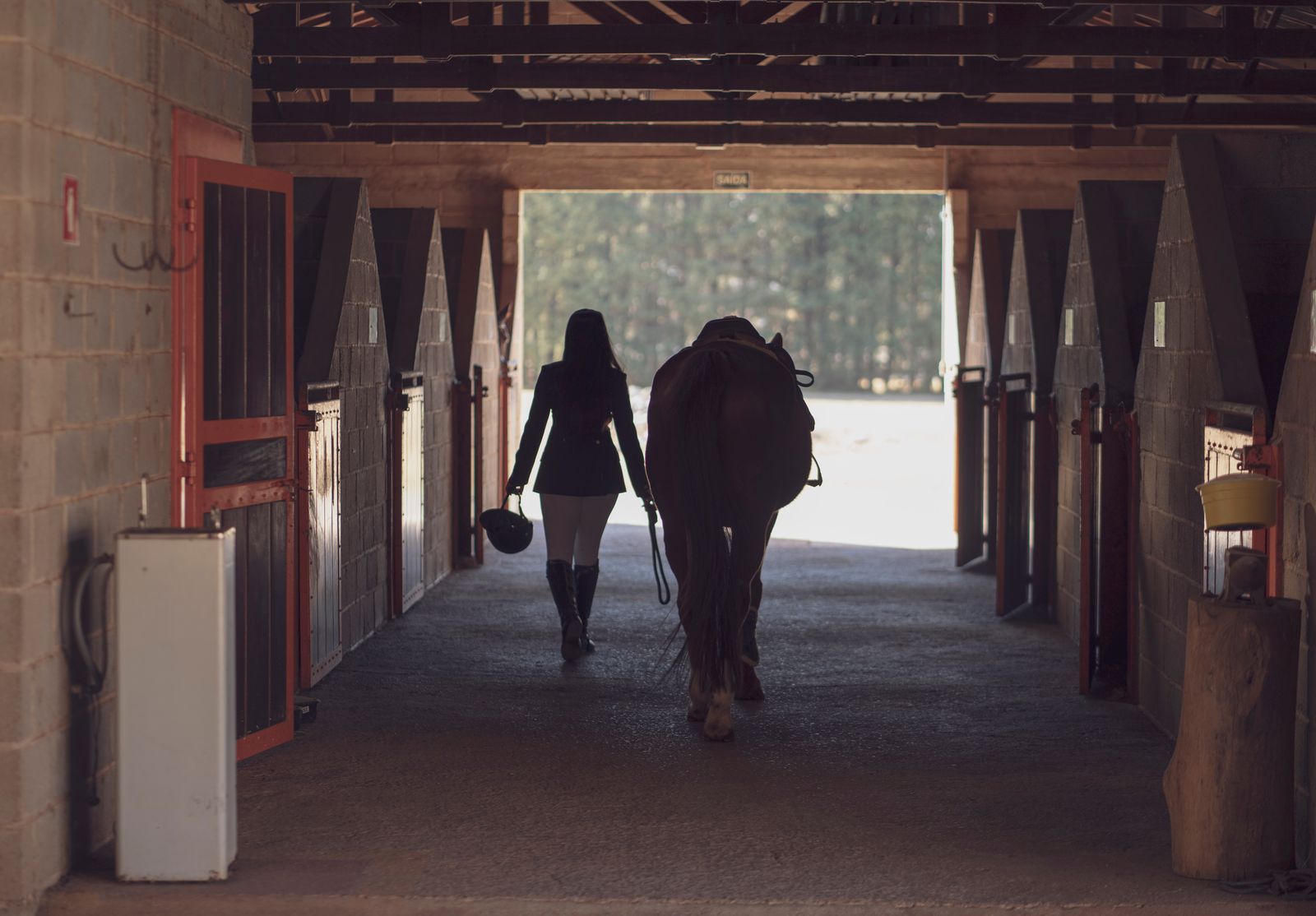 A rider and horse photographed by Batoul